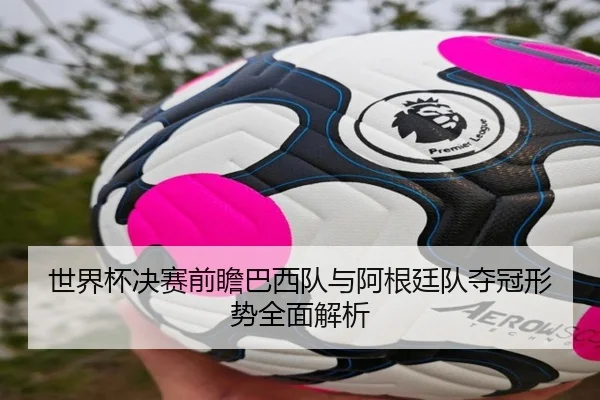 世界杯决赛前瞻巴西队与阿根廷队夺冠形势全面解析 - MILAN SPORTS